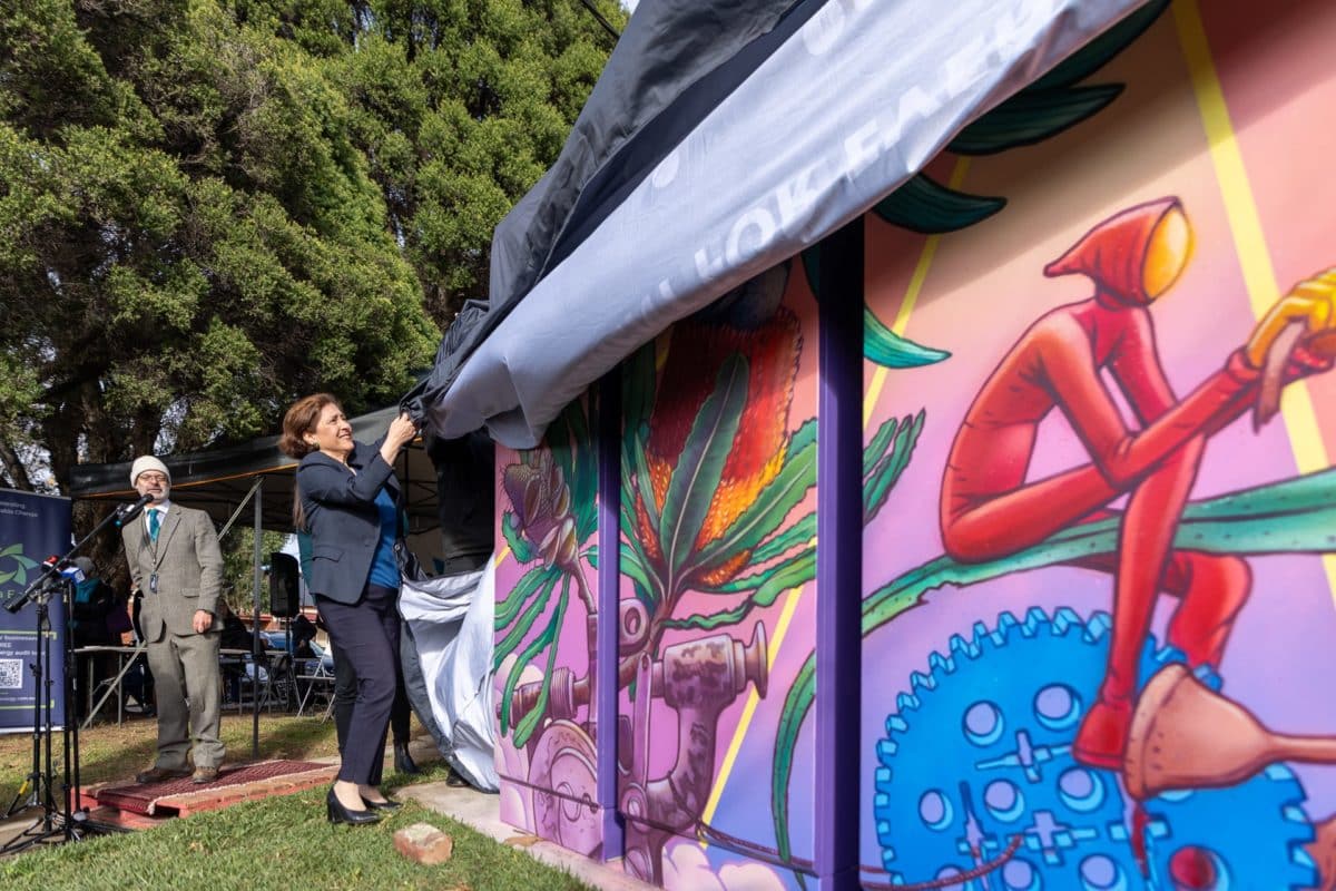 Lily D'Ambrosio unveiling Australia's first inner urban community battery in Fitzroy North